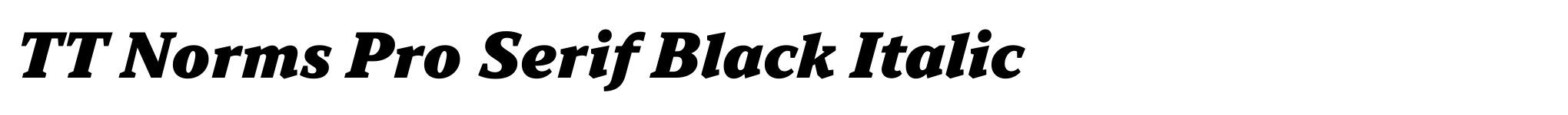 TT Norms Pro Serif Black Italic image